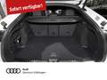 Audi Q5 Sportb. TDI qu. Stro. edition one sw TECH PRO Blanco - thumbnail 7