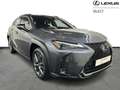 Lexus UX 250h F SPORT DESIGN Gris - thumbnail 18