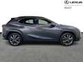 Lexus UX 250h F SPORT DESIGN Gris - thumbnail 16