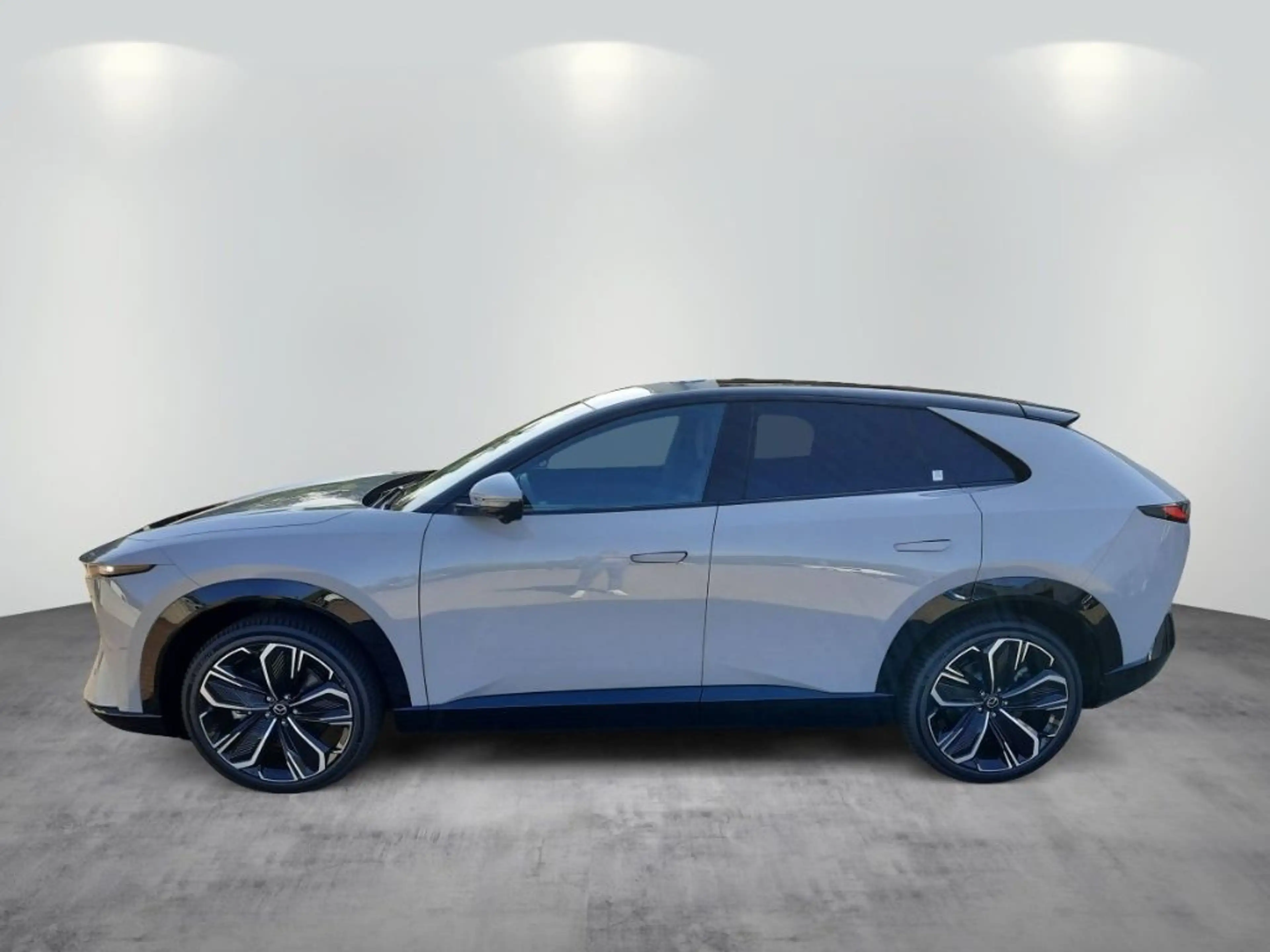 Mazda CX-6e CX6E 258ps Takumi 21'' 360 Kamera HUD PANO — photo 4