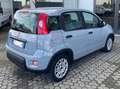 Fiat Panda Panda 1.0 firefly hybrid 69cv siva - thumbnail 3