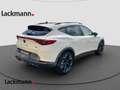 CUPRA Formentor 2.0 4Drive *Navi*LED*CarPlay*Winter* Weiß - thumbnail 4