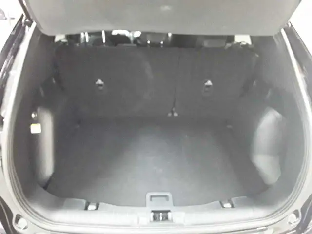 Ford Kuga view 15