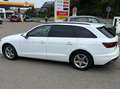 Audi A4 A4 Avant Diesel 35 TDI S tronic LED Standheizung Weiß - thumbnail 11