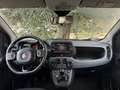 Fiat Panda CityCross 1.0 firefly Hybrid Rosso - thumbnail 10