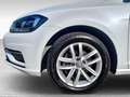 Volkswagen Golf 5 Porte 1.0 TSI BlueMotion Business - thumbnail 15