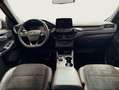 Ford Kuga 2.0 EcoBlue Aut. ST-LINE X Gris - thumbnail 8