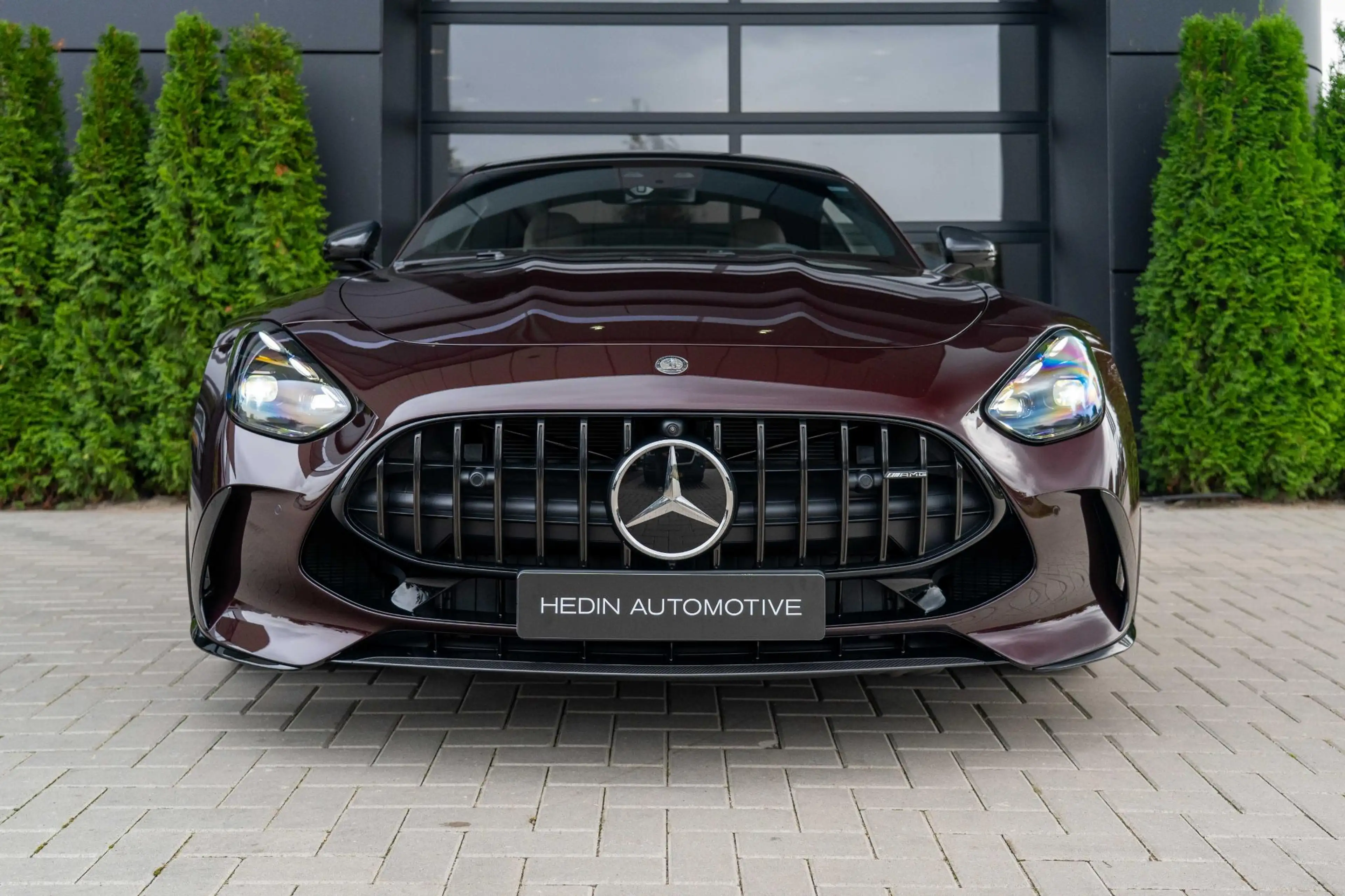 Mercedes-Benz AMG GT AMG 63 S E Performance Night Edition | MANUFAKTUR — photo 4