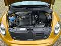Volkswagen Beetle Dune BMT Privat! Gold - thumbnail 11