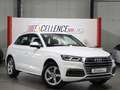 Audi Q5 40 TDI QUATTRO SPORT DESIGN / VIRTUAL-COCKPIT Weiß - thumbnail 2