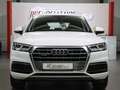 Audi Q5 40 TDI QUATTRO SPORT DESIGN / VIRTUAL-COCKPIT Weiß - thumbnail 8