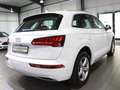 Audi Q5 40 TDI QUATTRO SPORT DESIGN / VIRTUAL-COCKPIT Weiß - thumbnail 12