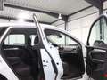 Audi Q5 40 TDI QUATTRO SPORT DESIGN / VIRTUAL-COCKPIT Weiß - thumbnail 21