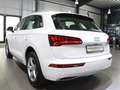 Audi Q5 40 TDI QUATTRO SPORT DESIGN / VIRTUAL-COCKPIT Weiß - thumbnail 11