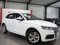 Audi Q5 40 TDI QUATTRO SPORT DESIGN / VIRTUAL-COCKPIT Weiß - thumbnail 4