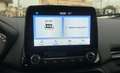 Ford EcoSport EcoSport 1.0 EcoBoost 125 CV Start&Stop ST-Line Schwarz - thumbnail 16