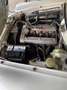 Alfa Romeo Spider 1300 Weiß - thumbnail 8