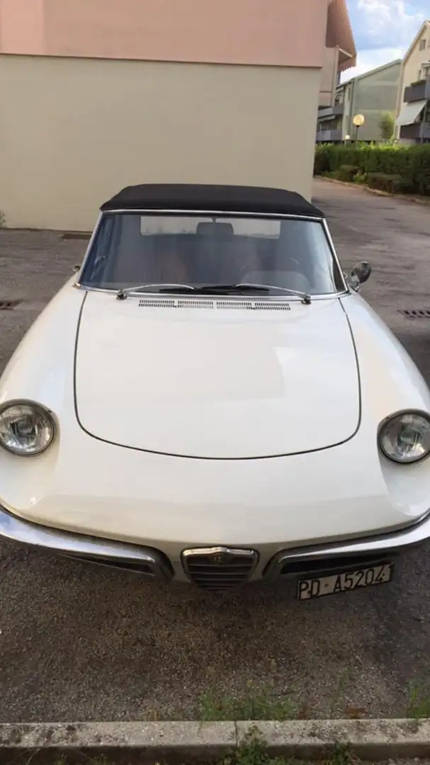 Alfa Romeo Spider 1300 Weiß - 1