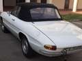 Alfa Romeo Spider 1300 Weiß - thumbnail 2