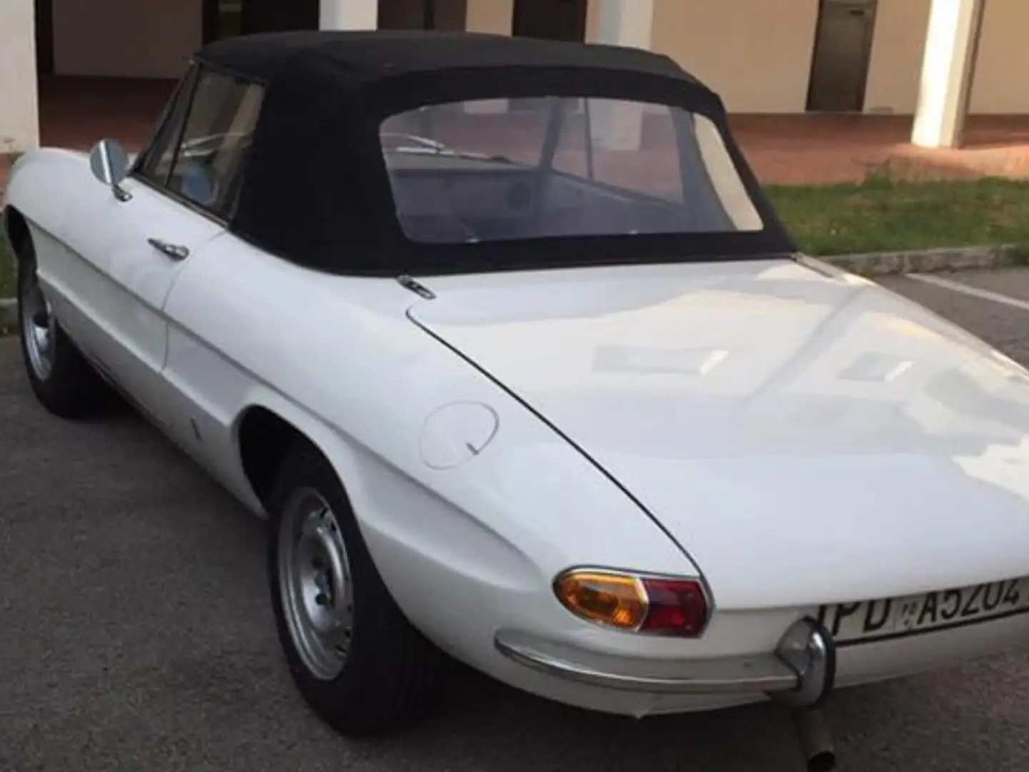 Alfa Romeo Spider 1300 Weiß - 2