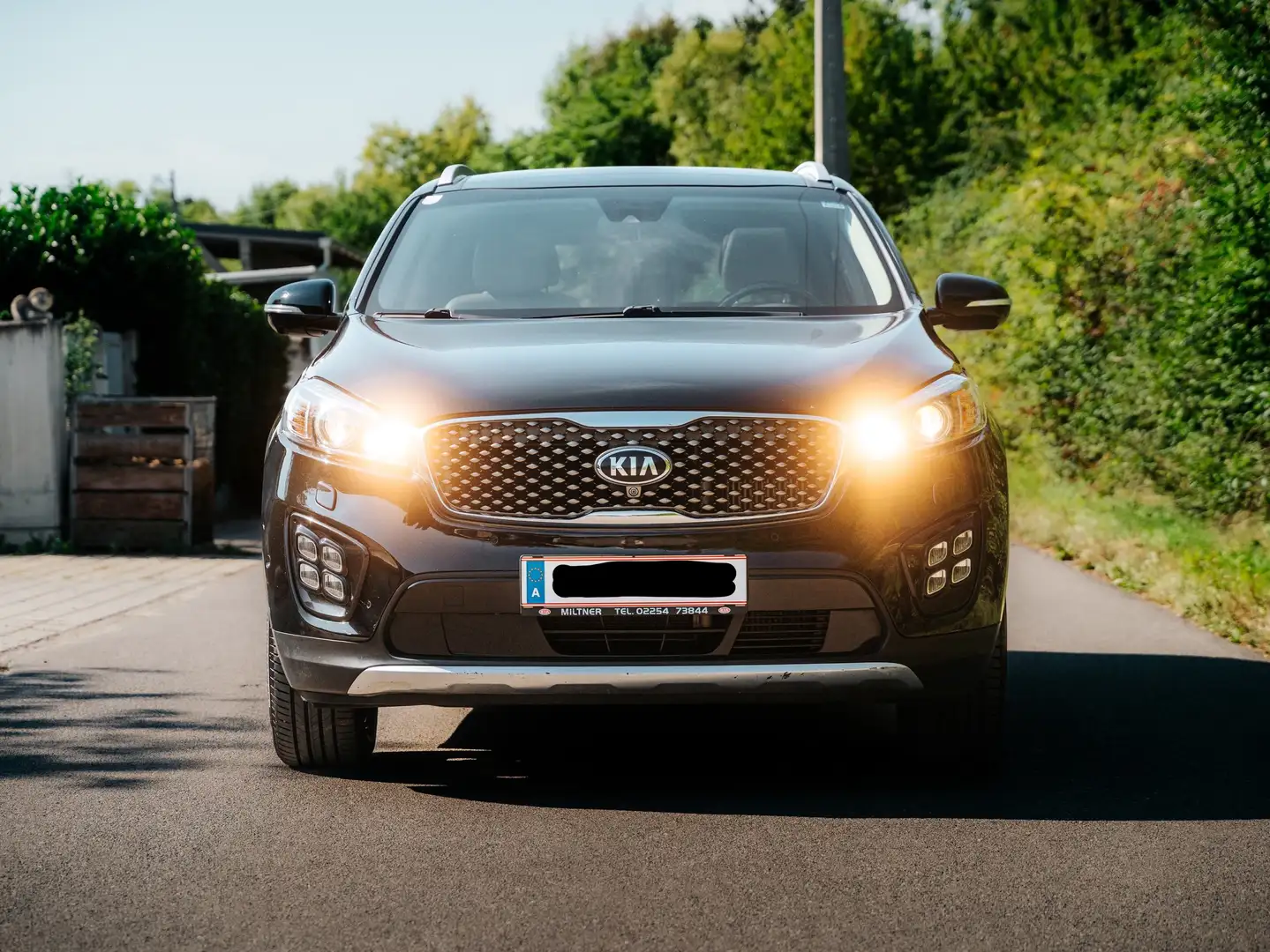 Kia Sorento Sorento 2,2 CRDi ISG AWD Österreich Edition Schwarz - 2