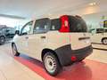 Fiat Panda VAN 1.2 69cv AUTOCARRO*2 POSTI*UNICO PROPRIETARIO Weiß - thumbnail 5
