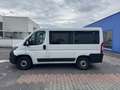 Fiat Ducato Kombi 30 140 L1H1 RS: 3000 mm*8-SITZER* Bianco - thumbnail 4