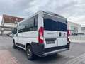 Fiat Ducato Kombi 30 140 L1H1 RS: 3000 mm*8-SITZER* Bianco - thumbnail 5