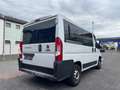Fiat Ducato Kombi 30 140 L1H1 RS: 3000 mm*8-SITZER* Bianco - thumbnail 6