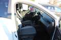 SEAT Ibiza Style Erdgas Super Günstig Weiß - thumbnail 7
