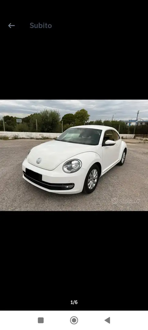 Volkswagen Beetle - 1