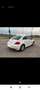 Volkswagen Beetle - thumbnail 3