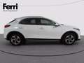 Kia XCeed 1.0 t-gdi Urban Gpl 111cv Bianco - thumbnail 10