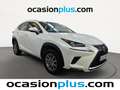 Lexus NX 300 300h Business Navigation 2WD Blanc - thumbnail 2