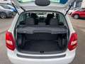 Skoda Fabia 1.4 Elegance_Tüv_Klima_Tempomat_Sitzhz Weiß - thumbnail 11