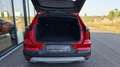 Mitsubishi Grandis Invite 1,3 l DI-T MHEV Rot - thumbnail 6