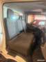 Nissan Cabstar Plateau Basculant 3 places 110cv Diesel DEPANNEUSE Blanc - thumbnail 2
