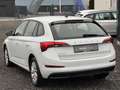 Skoda Scala 1,0 TSI*LED*SHZ*CARPLAY*ACC*PDC Weiß - thumbnail 2