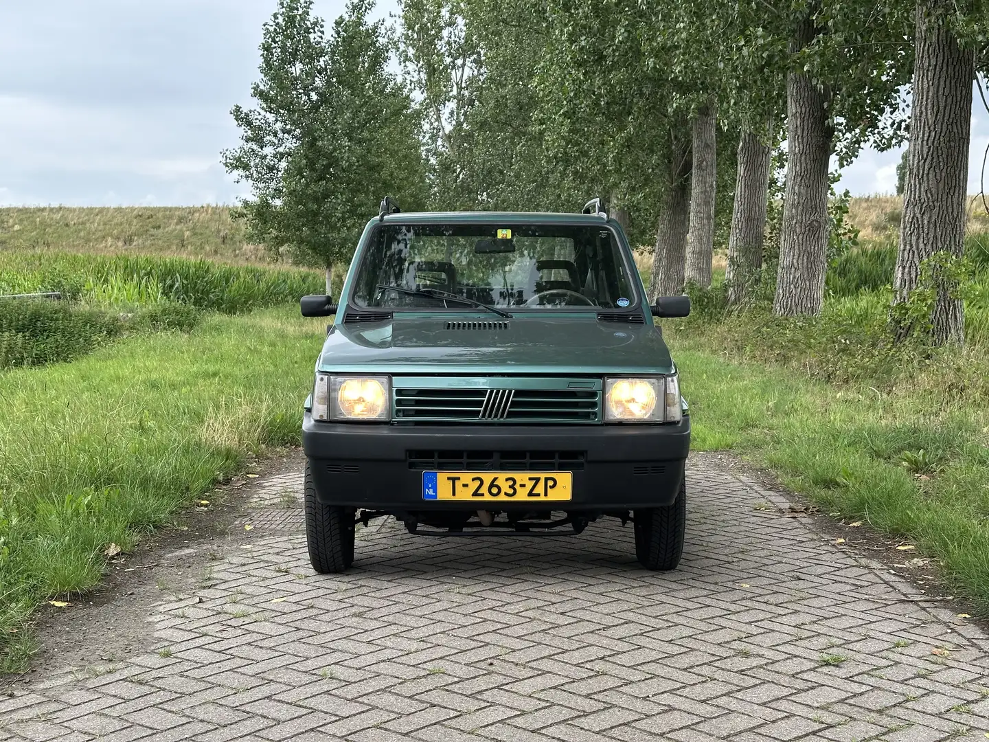 Fiat Panda 4x4 Country Club Grün - 2