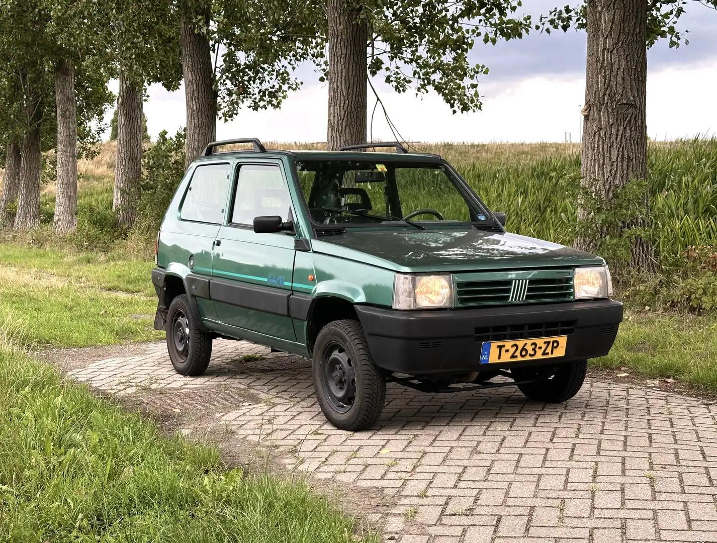 Fiat Panda 4x4 Country Club Grün - 1