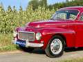 Volvo PV544 Katterug in prachtige staat, 1963, LPG Red - thumbnail 4