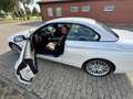 BMW 435 435i Cabrio Luxury Line Weiß - thumbnail 5