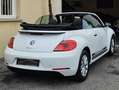 Volkswagen Coccinelle Coccinelle 1.2 TSI 105 BMT Edition Weiß - thumbnail 5