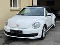 Volkswagen Coccinelle Coccinelle 1.2 TSI 105 BMT Edition Weiß - thumbnail 3