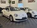 Volkswagen Coccinelle Coccinelle 1.2 TSI 105 BMT Edition Weiß - thumbnail 9