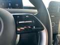 Hyundai STARIA 2.2 Luxury 2wd  automatico 9 Posti, pelle, Iva esp Bianco - thumbnail 15