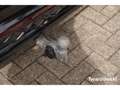 Volkswagen Tiguan 2.0 TDI 4Motion R-Line Memory AHK 360° H&K Schwarz - thumbnail 19