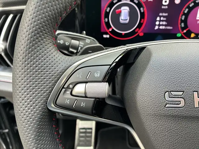 Skoda Kodiaq RS 4x4 TSI DSG Ansicht 17