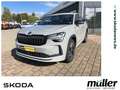 Skoda Kodiaq Sportline 4x4 AHZV Standhzg Navi Grau - thumbnail 1