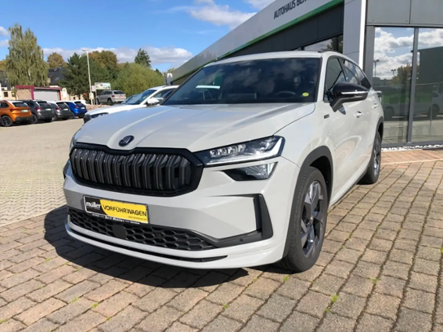 Skoda Kodiaq Sportline 4x4 AHZV Standhzg Navi Grau - 2